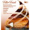 Filter Fresh Web FilterFresh Cinnamon Scent Air Freshener 0.8 oz Gel WCIN - alternate 3